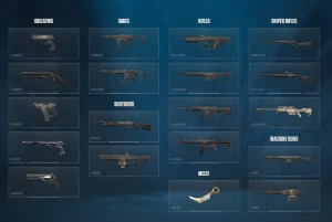 Conta Valorant Com Skins.