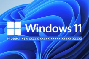 Key Windows 11 Original - Softwares e Licenças