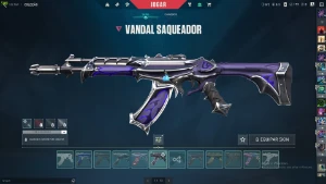 conta de valorant radiante 5 mil reais em skins