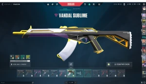 Conta Valorant com passe + vandal sublime + rank gold 2