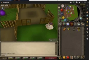 Conta ags pure , fire cape , reju pool , jewlery box  e mais - Runescape RS
