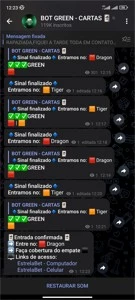 ORIGINAL T10 BOT GREEN CARTAS - Outros