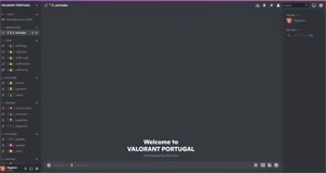 Clonador Servidores Discord - 30 DIAS (Storm Cloner) - Softwares e Licenças