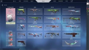 VALORANT (G3) - COM SKINS E 2 PASSES CONCLUIDOS