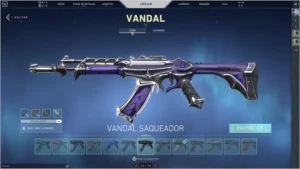 CONTA BETA VALORANT FULL SKIN + FULL PASSES - D2