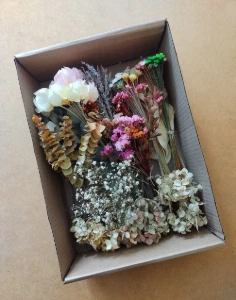 Caixa de Flores e Folhagens Desidratadas - 15 Espécies - Artesanato e Personalizados