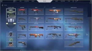 Conta valorant pronta para calibragem, com skins.