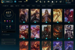 Conta Lol-  427 Skins Prestigio - Lvl 303- Todos Os Campeões - League of Legends