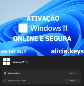 Key Windows 10/11 Pro - Softwares e Licenças