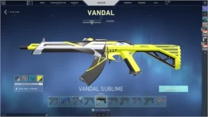 Conta valorant (mais skins que nao couberam na foto)