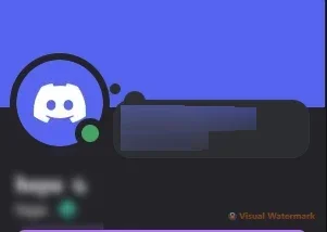 Conta DISCORD User 4L Raro E Estiloso