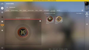 Conta CSGO + Prime + Medalhas 10  anos - Counter Strike