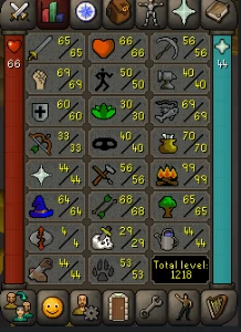 Iron Osrs bem encaminhada 99 fm com pet e tome - Runescape