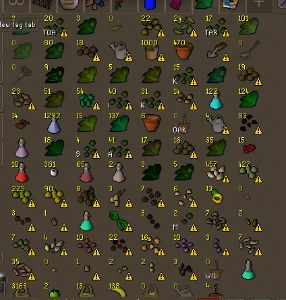 Iron Osrs bem encaminhada 99 fm com pet e tome - Runescape