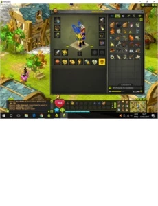 Eniripsa 199 - Dofus