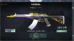 Conta Valorant - Platina 1 + Skins