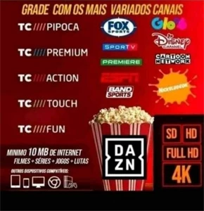 Multi tv, netflix, amazon prime, disney em um só - Assinaturas e Premium