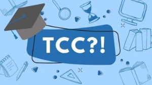 TCC, monografias, Redações etc. - Outros