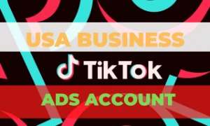 COnta Tiktok Business Verificada