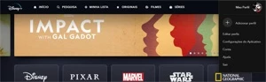PROMOÇÃO - COMBO DISNEY + STARPLUS - Assinaturas e Premium