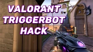 triggerbot valorant
