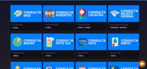 PAINEL CONSULTA DADOS! #TOP 1 ( PLANO DIÁRIO ) - Serviços Digitais