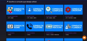 PAINEL CONSULTA DADOS! #TOP 1 ( PLANO DIÁRIO ) - Serviços Digitais