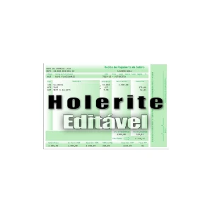 Modelo Holerite Contra-cheque Recibo Editável No Excel