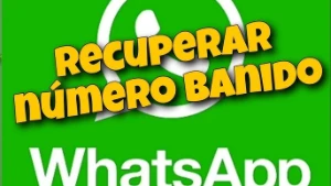 Desbanir o número do  [conteúdo removido] App   30 minutos - Outros