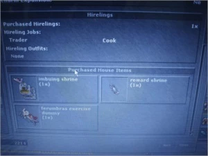 MS 500 + NON-PVP ML 112, 7 RUNAS, 45% DE LOYALITY - Tibia