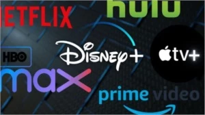 SITE SECRETO PARA REVENDAS DE CONTAS NETFLIZ E MAIS! - Outros