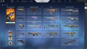 CONTA VALORANT D2, MAIS DE 1000 REAIS EM SKINS, LVL 150