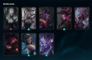 Conta main suporte full acesso - League of Legends LOL