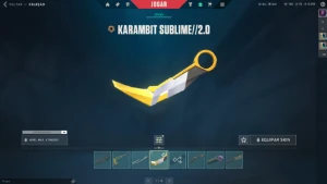 Conta de Valorant Muitas Skins