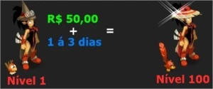 Upamos seu personagem do 1 ao 100, em no máximo 3 dias. - Dofus
