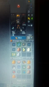 Vendo Rp Lutabra + Ek + Vários Char - Tibia
