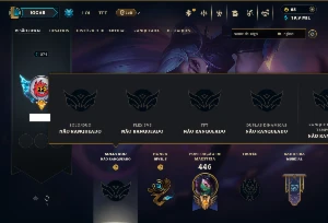 Unranked com 140 Champs e 213 Skins ( MID / JG / ADC )