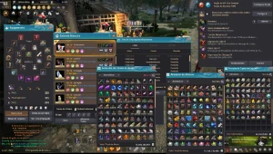 Black Desert Account