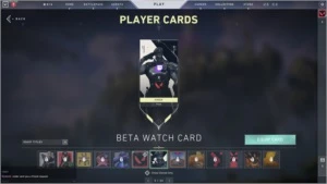 Conta Valorant com Card da Beta - Jogos (Mídia Digital)