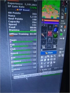 Paladin level 80 relembra - Tibia