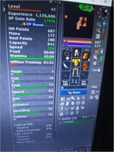 Paladin level 80 relembra - Tibia