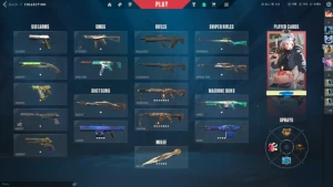 Conta Valorant Lvl 177 C/Muitíssimas Skins - Full Acesso