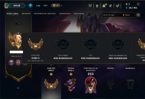 Unranked com 95 Champs e 15 Skins - League of Legends LOL