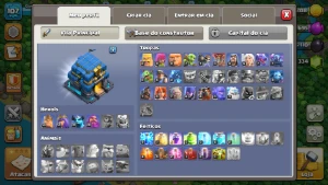 CV12 Avançado Heróis Quase Max (BK54/AQ59/GW30/RC38) - Clash of Clans