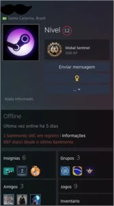 Conta Steam Nível 12 | 8 Jogos