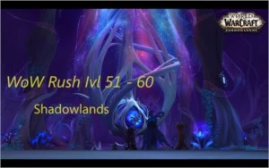 Rush lvl WoW Shadowlands  - 51 ao 60