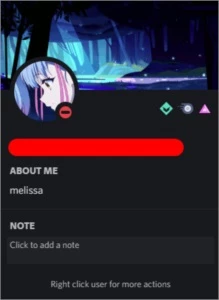 Discord BANNER Beta