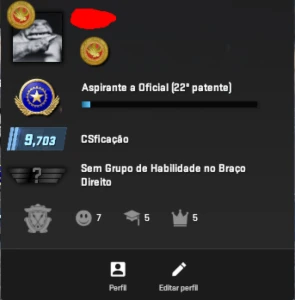 Conta Gamers Club Verificada Level 20 + PIN Top100 Season2 - Counter Strike CS