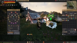 Conta Mid/End Game Bdo - Black Desert