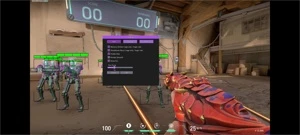 VALORANT HACK AIMBOT-ESP